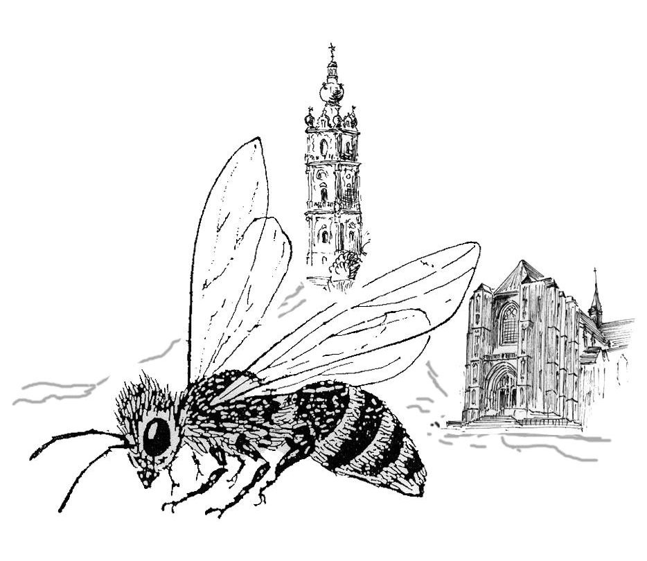Centre d'étude et d'information apicole de Mons  …..                   (CEIAM)                                                            Rucher école et section apicole de Mons